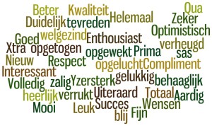 rasja.nl-voortgangsgesprek-functioneringsgesprek-beoordelingsgesprek-positief effect