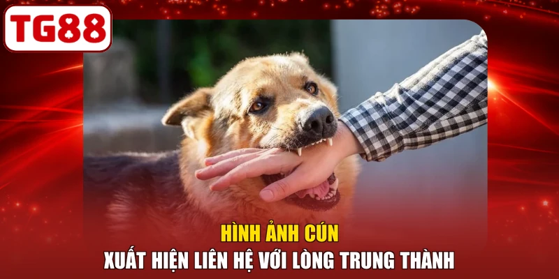 Hình ảnh cún xuất hiện liên hệ với lòng trung thành