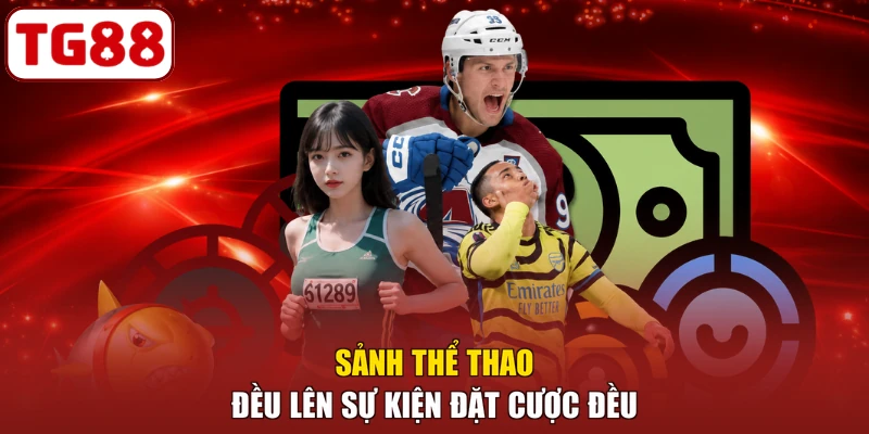 Sảnh thể thao đều lên sự kiện đặt cược đều